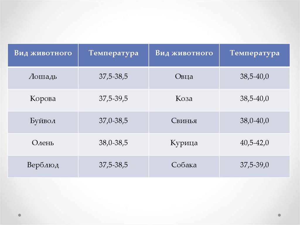 4 типа температура