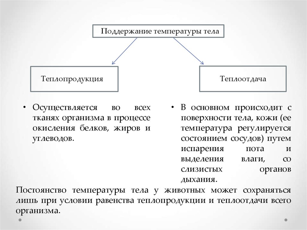 Кожа температура тела. Поддержание температуры тела. Поддержание постоянства температуры тела. Обмен веществ и энергии терморегуляция. Значение поддержания постоянной температуры тела.