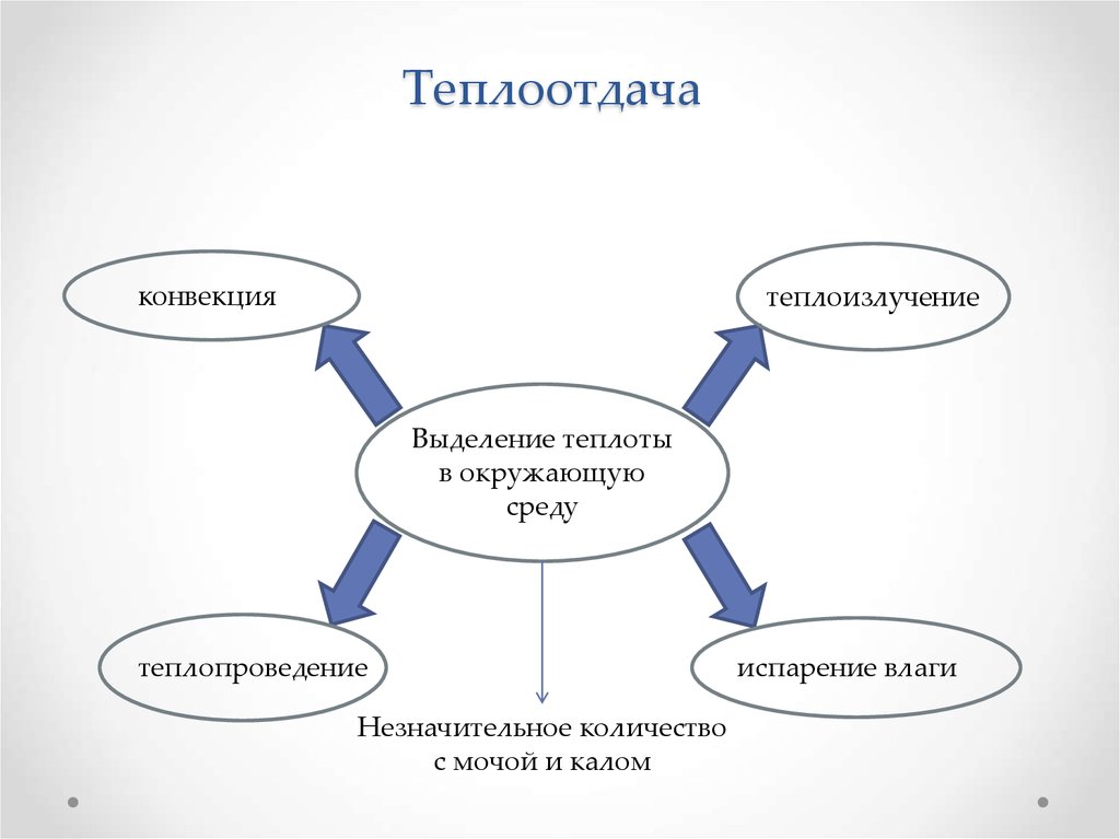 Конвекция механизм