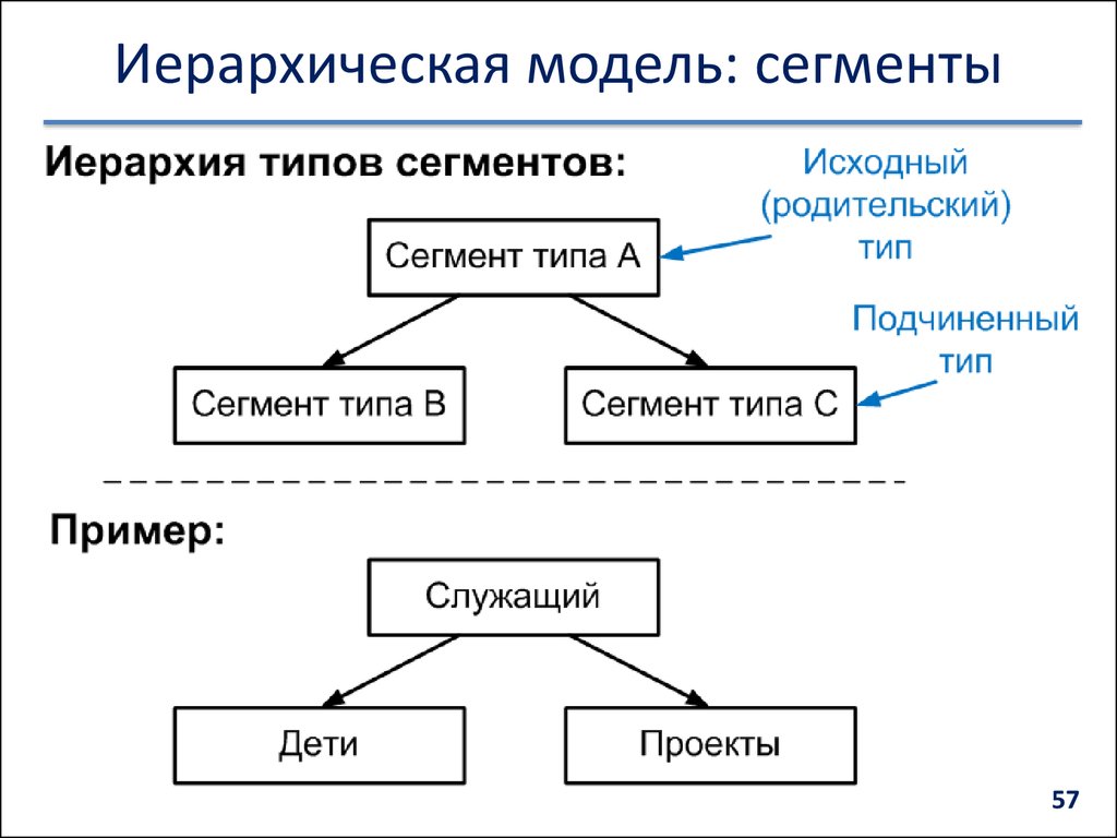 Иерархическая модель данных виды. Сегмент иерархическая модель. Иерархия типов данных. Информационная модель с иерархической структурой. Сделать иерархическая модель.