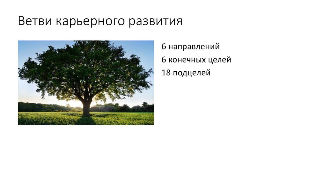 Ветви карьерного развития