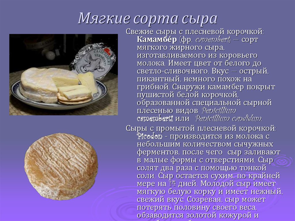 Какой твердый сыр не имеет корки и рисунка