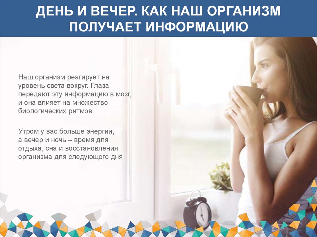 памятка гинекология. откуда берется энергия в организме. женский возбудитель. откуда взять энергию. как достичь организма.