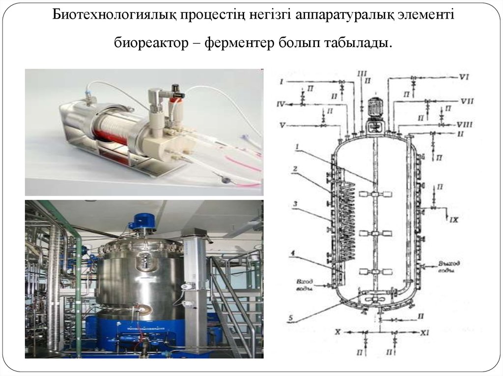 Биотехнологиялық процестің негізгі аппаратуралық элементі биореактор – ферментер болып табылады.