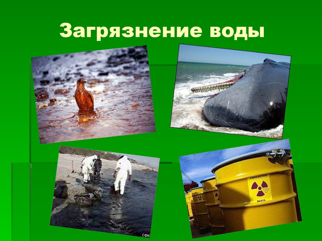 Вода экология презентация