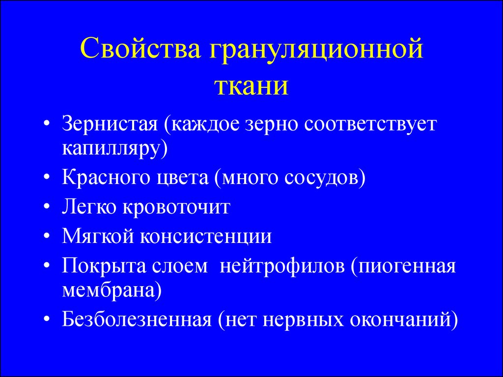 Грануляционная ткань. Строение грануляционной ткани схема. Стадии формирования грануляционной ткани. Виды грануляционной ткани.