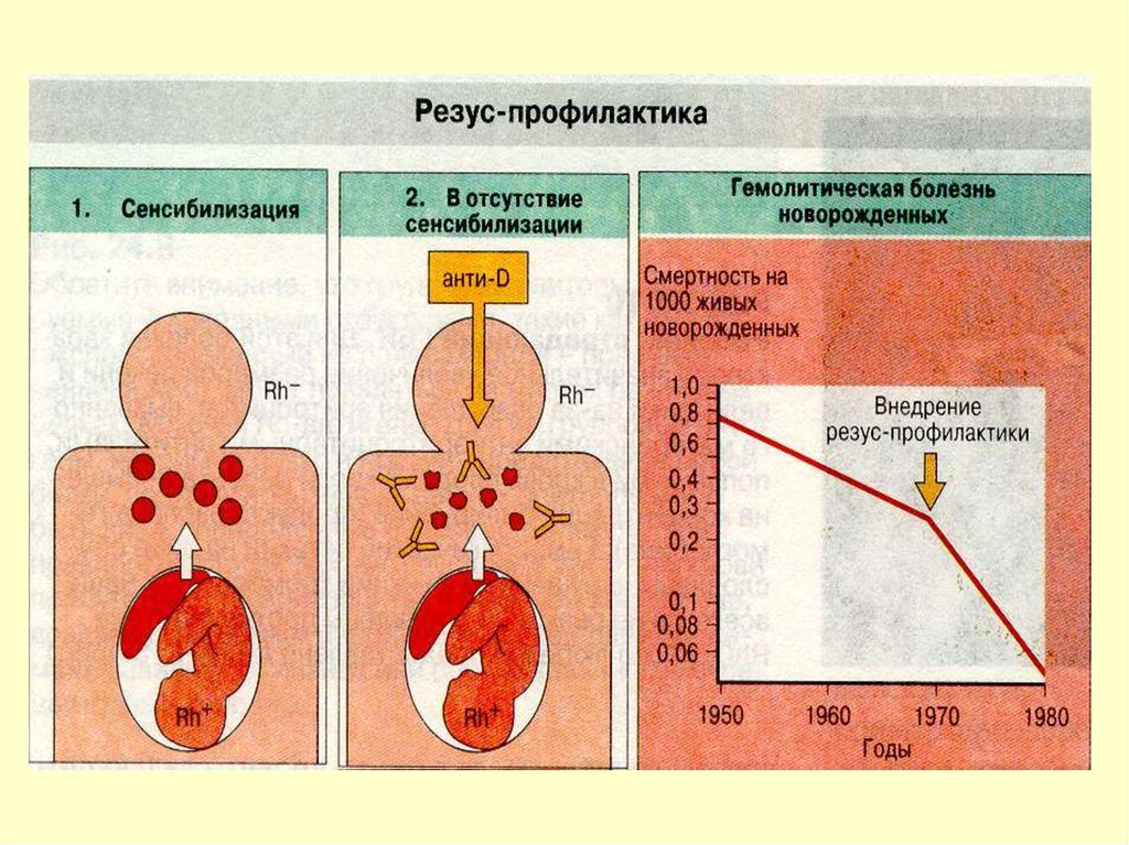 Кровь больной резус. Резус-Изоиммунизация гемолитическая болезнь плода. Резус сенсибилизация гемолитическая болезнь. Профилактика резус конфликта. Профилактика при резус конфликте.