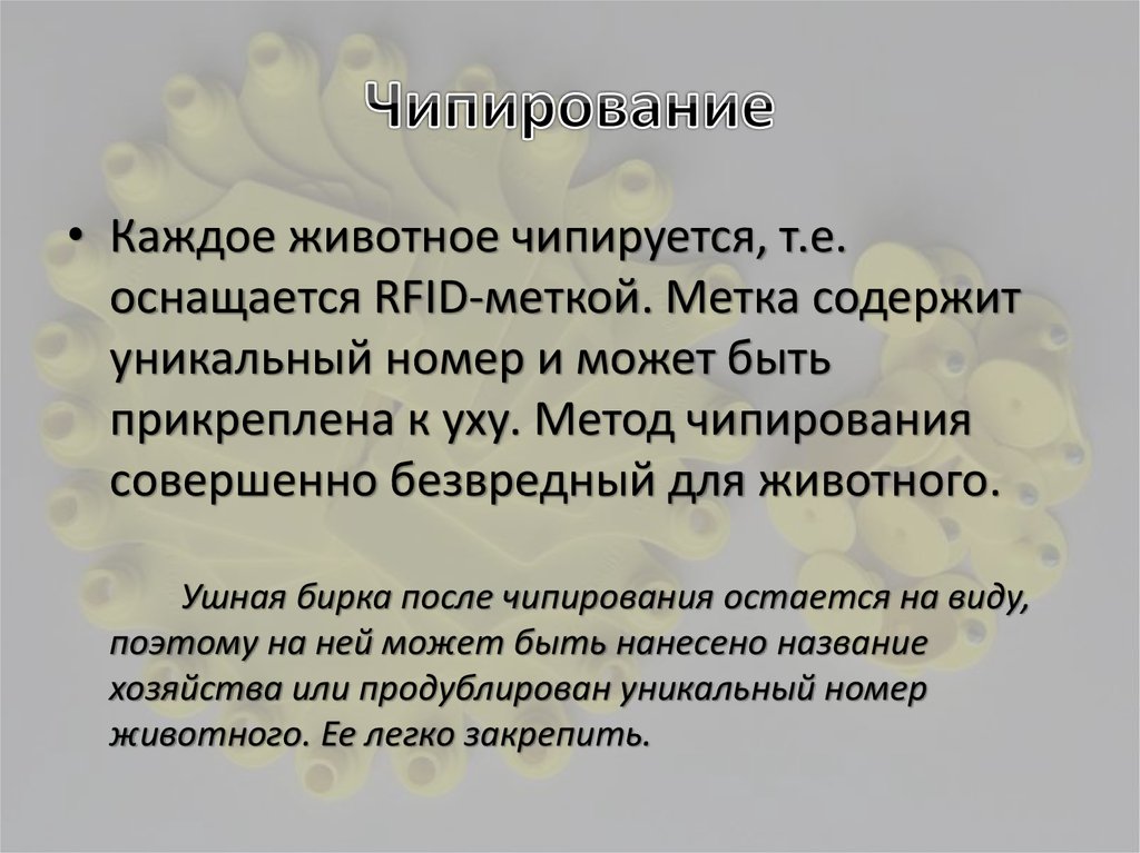 Чипирование