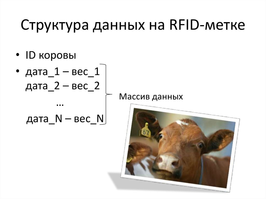 Структура данных на RFID-метке
