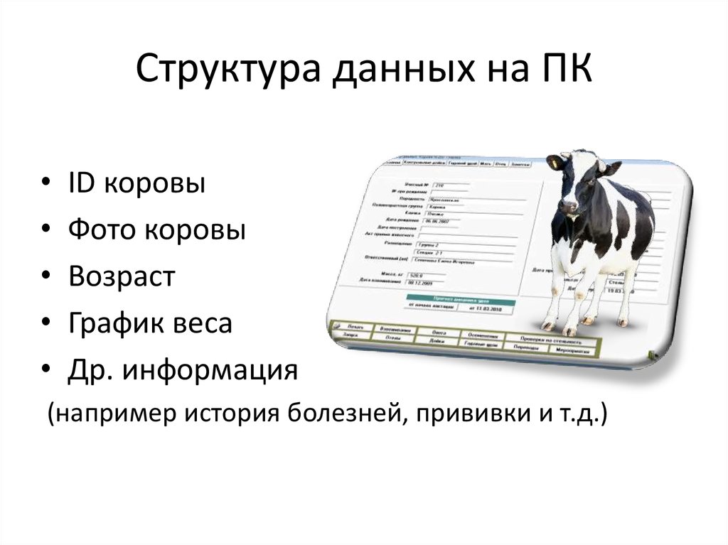 Структура данных на ПК