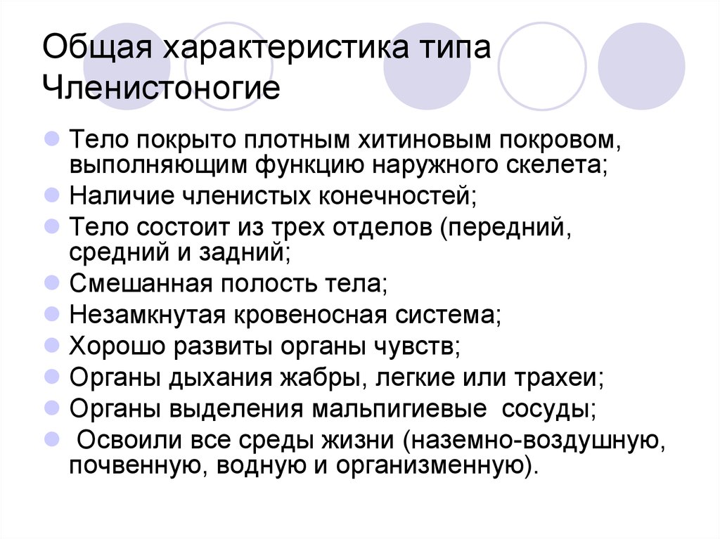 Членистоногие характеристика. Общая характеристика типа Членистоногие 7 класс биология. Общая характеристика членистоногих 7 класс биология кратко. Членистоногие особенности характеристики. Характеристика членистоногих кратко.