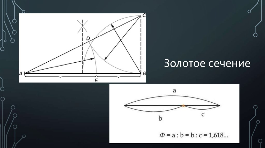 Золотое сечение картинки