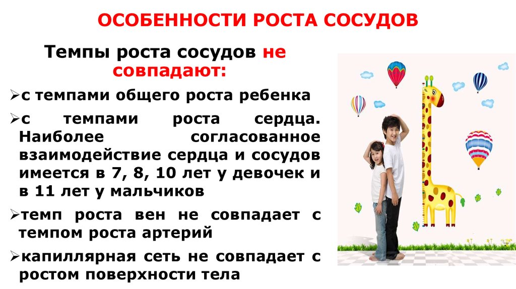 Особенности роста. Особенности роста у детей. Особенности роста человека. Что такое особенности роста у детей ответы. Особенности роста сердца и сосудов у детей.