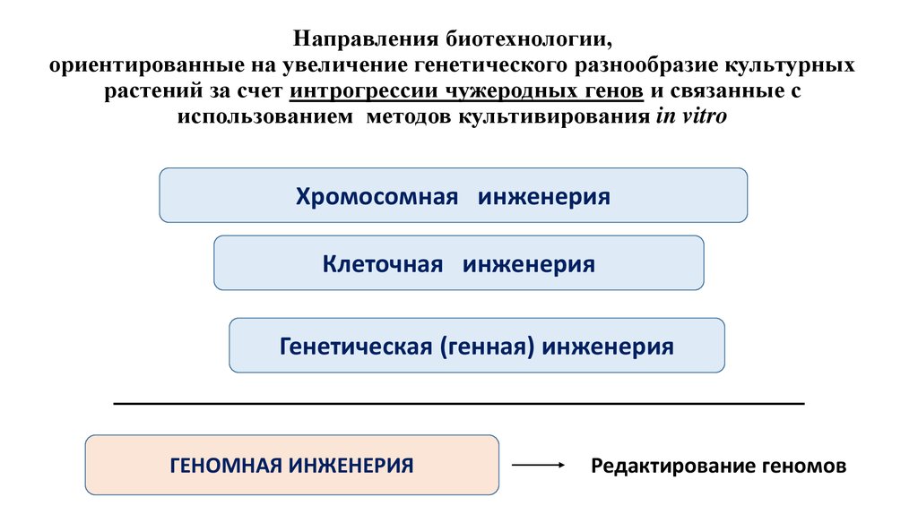 Направления биотехнологии презентация