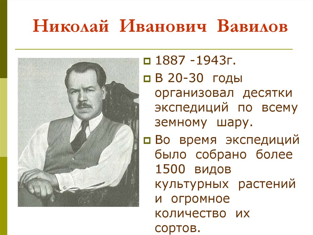 Вавилов николай иванович презентация