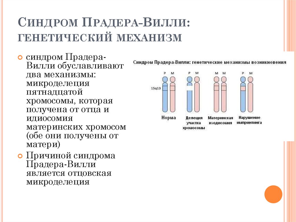 Синдром прадера вилли презентация