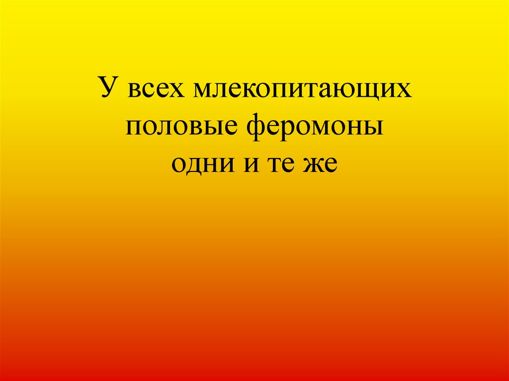 Половое поведение. Виды и принципы работы электроотопительных приборов.. ОБЖ 3 класс презентация. Перечислите типы электроотопительных приборов.