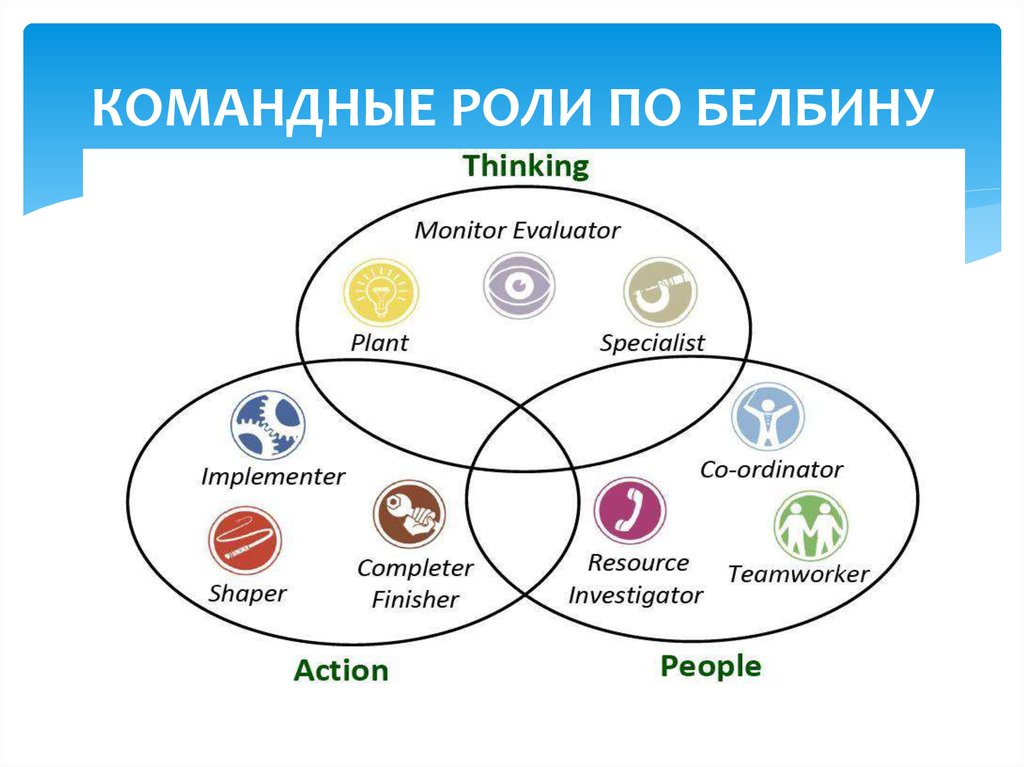 Концепция белбина командные роли