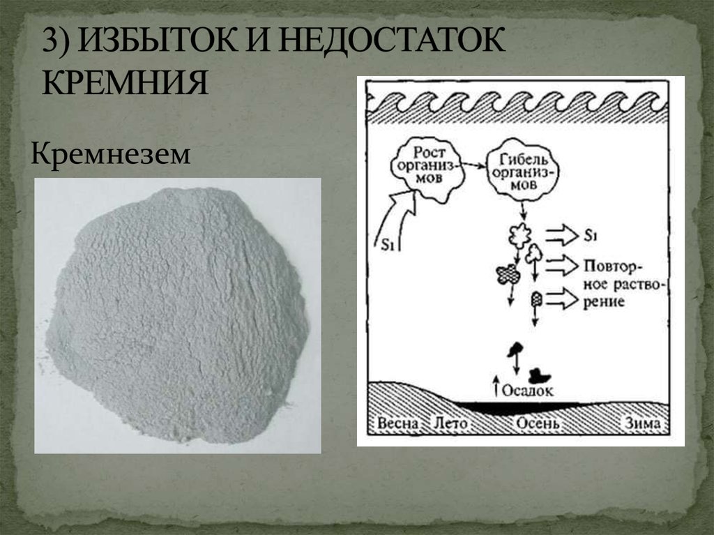 В каких продуктах больше всего кремния таблица