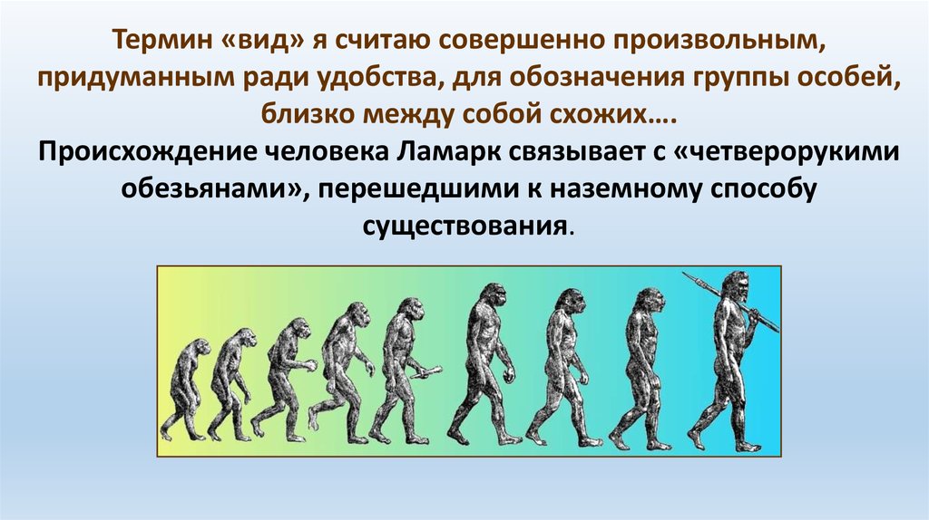 Эволюционное происхождение человека презентация 9 класс пономарева. Появление человека. История происхождения человека. Современные представления о происхождении человека. Виды терминов.