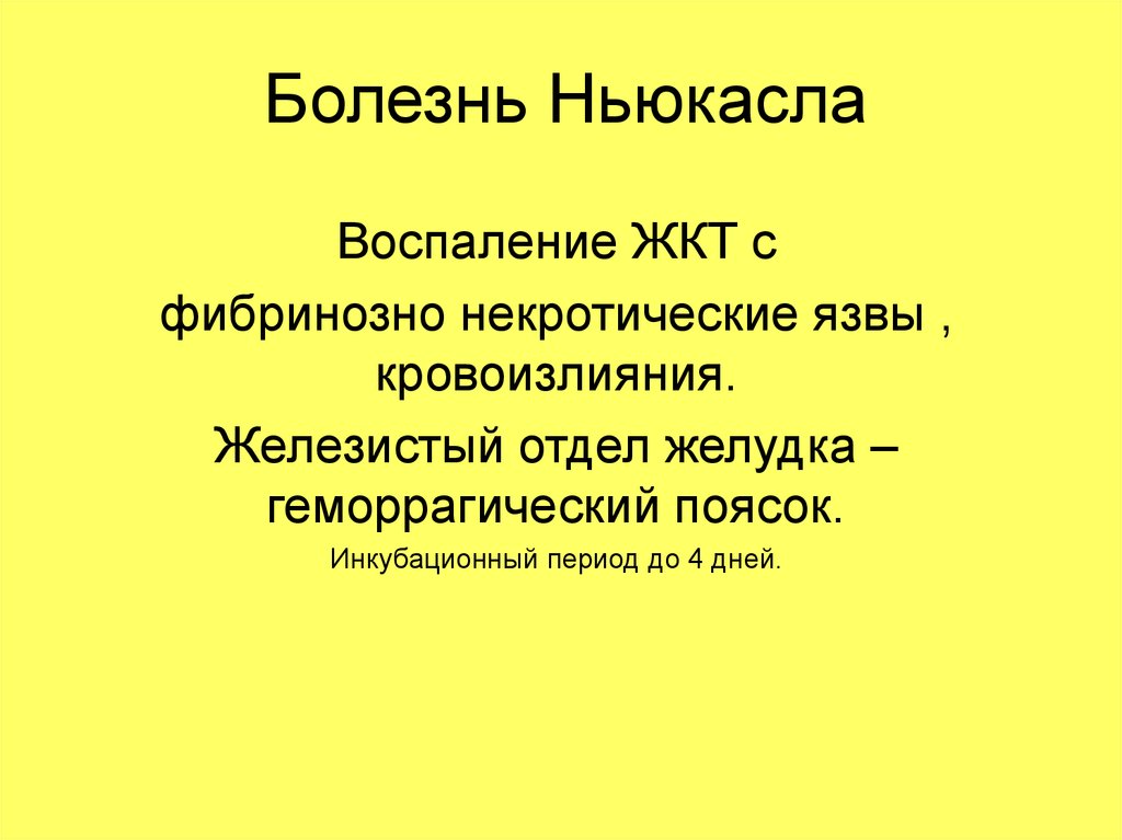 Болезнь ньюкасла презентация