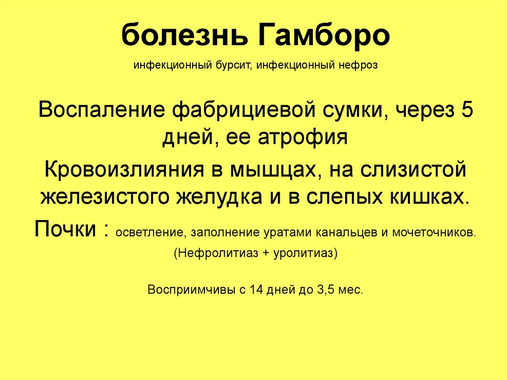 Инфекционная бурсальная болезнь. Болезнь Гамборо презентация.