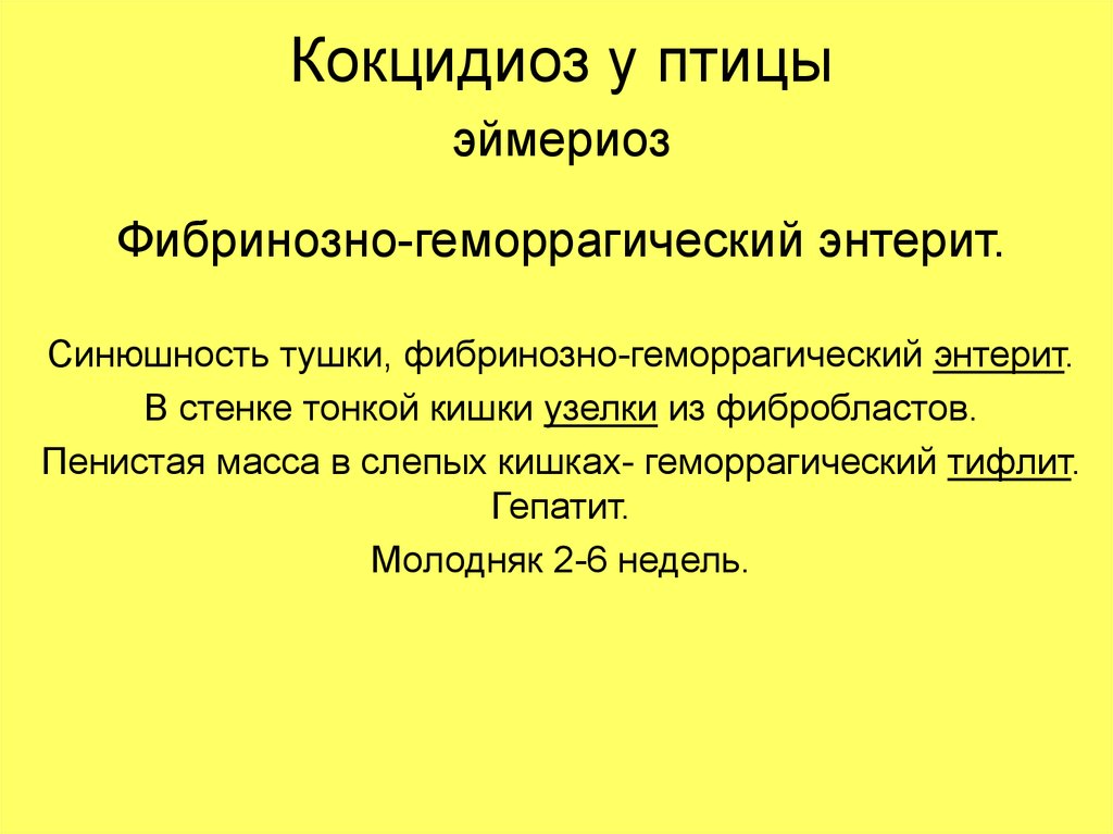 Кокцидиоз у кур лечение. Кокцидиоз у птиц признаки. Болезнь птиц кокцидиоз.