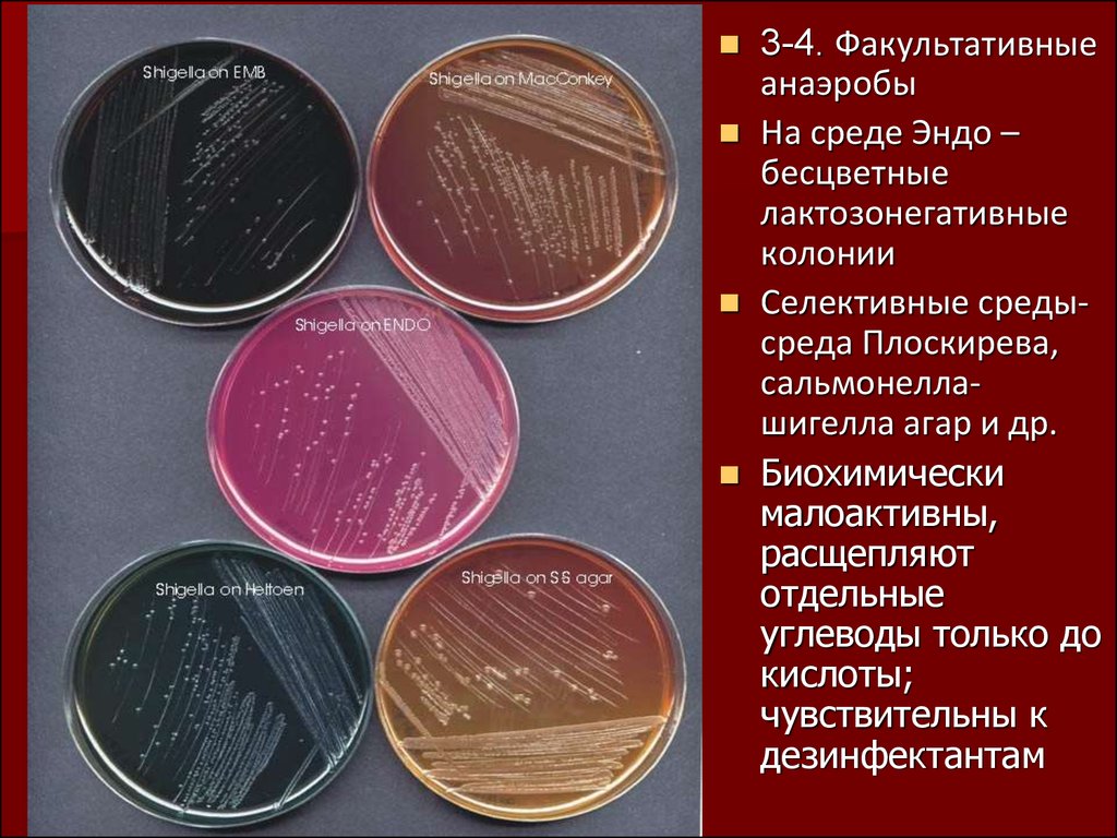 Кишечная инфекция карта смп