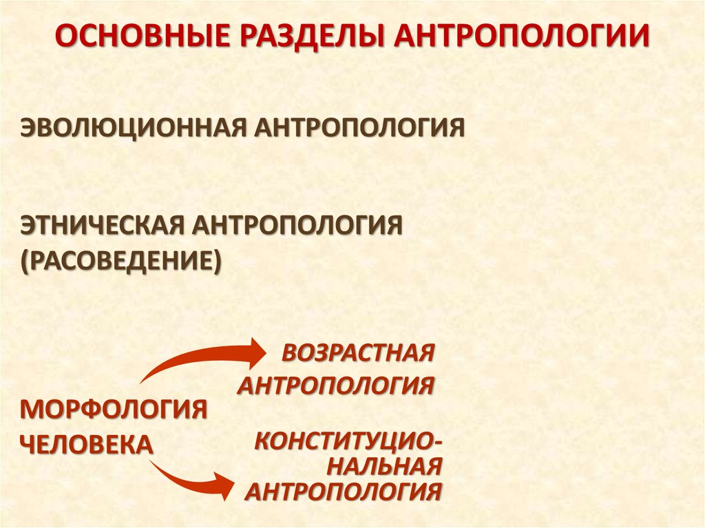 Антропология этноса. Разделы антропологии. Основные разделы антропологии. Метод исследования антропологии. Этническая антропология расоведение.