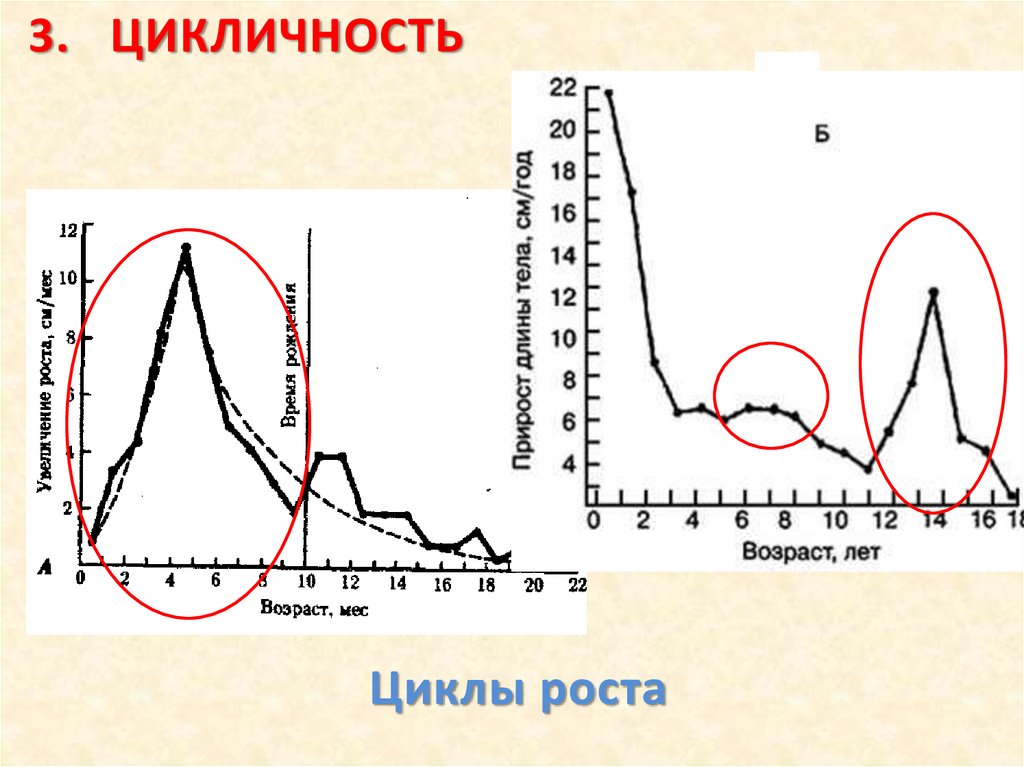 Цикл возраста человека. Возрастные циклы. Цикличность. Цикл роста человека. Цикличность моды.