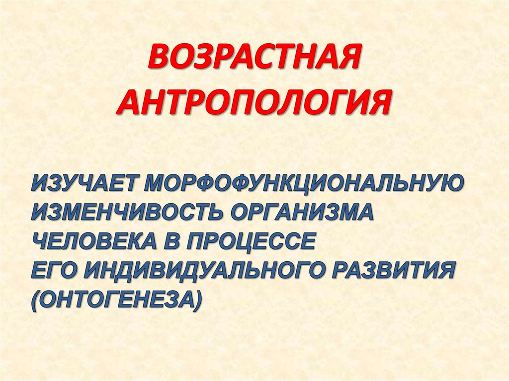 Презентация по антропологии