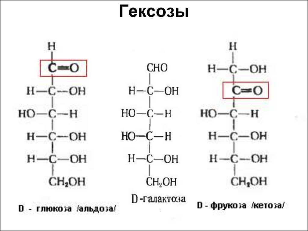 Гексоза это. Формулы углеводов гексоза. Глюкоза гексоза. Гексозы с общей формулой. Гексозы галактоза.