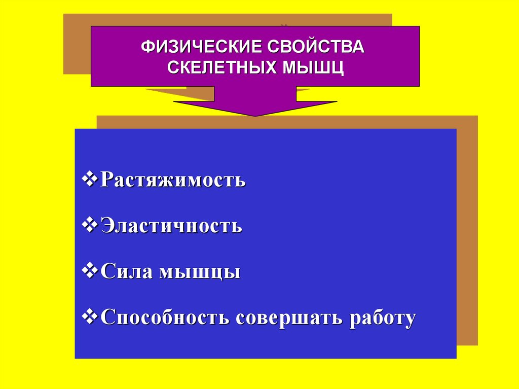 Свойства мышц. Физические свойства мышц. Физические и физиологические свойства скелетных мышц. Физические характеристики мышц. Физические свойства мышечной ткани.