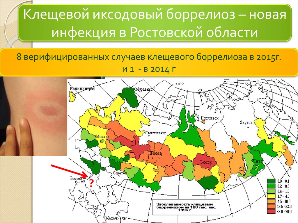 Территория распространения заболеваний называется. Карта распространения клещевого боррелиоза в России статистика. Клещевой боррелиоз карта распространения. Боррелиоз зоны распространения. Клещевой боррелиоз распространенность.