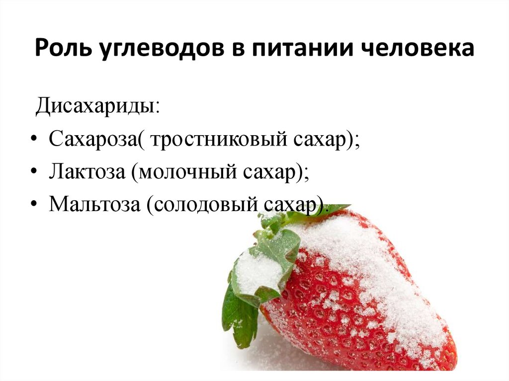 Значение углеводов в живой природе и жизни человека презентация