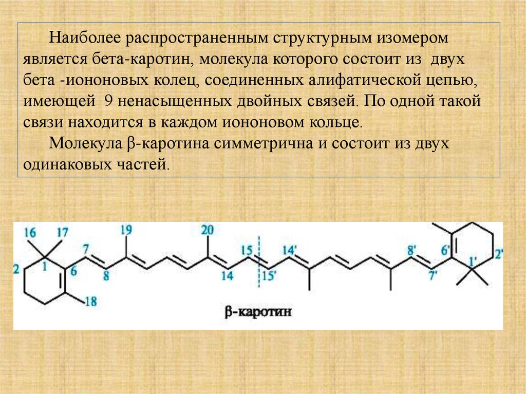 Самым распространенным является. Строение бета каротина. Строение β-каротина. Каротин биологическая роль. Бета каротин биологическая роль.