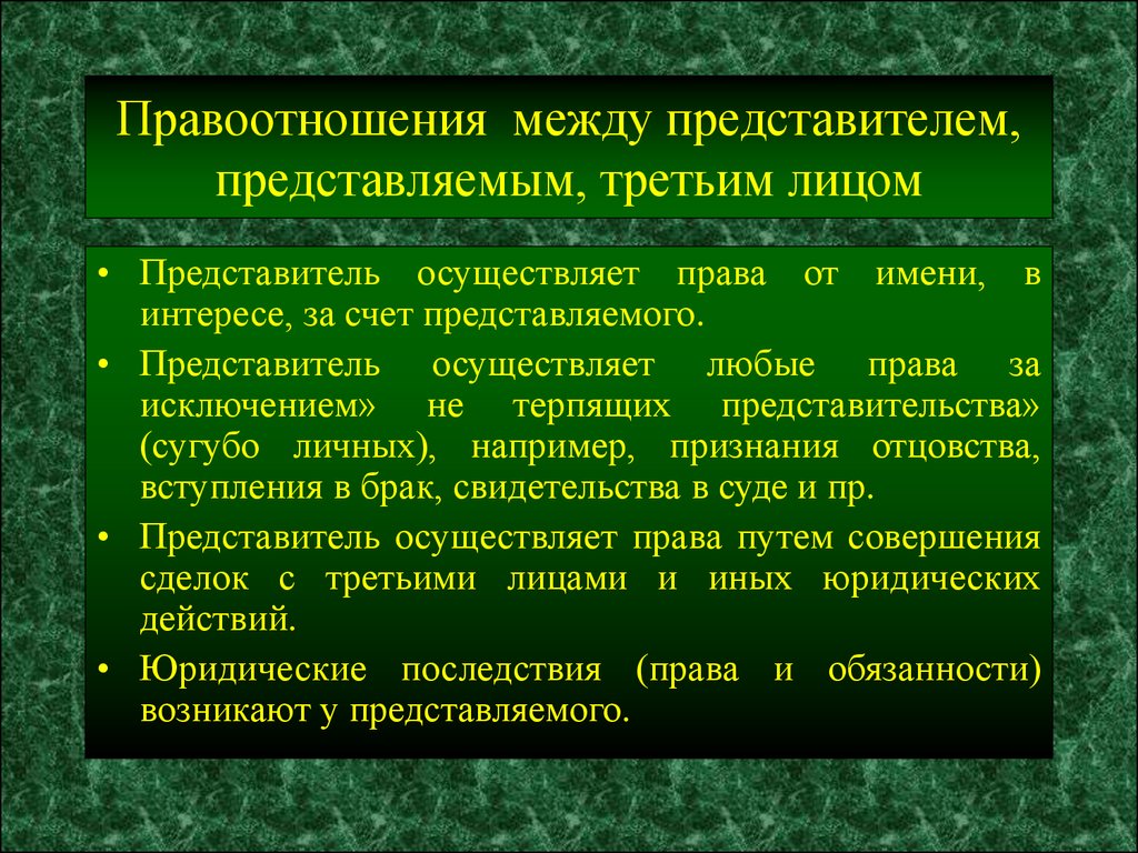 Обязанности представителя организации