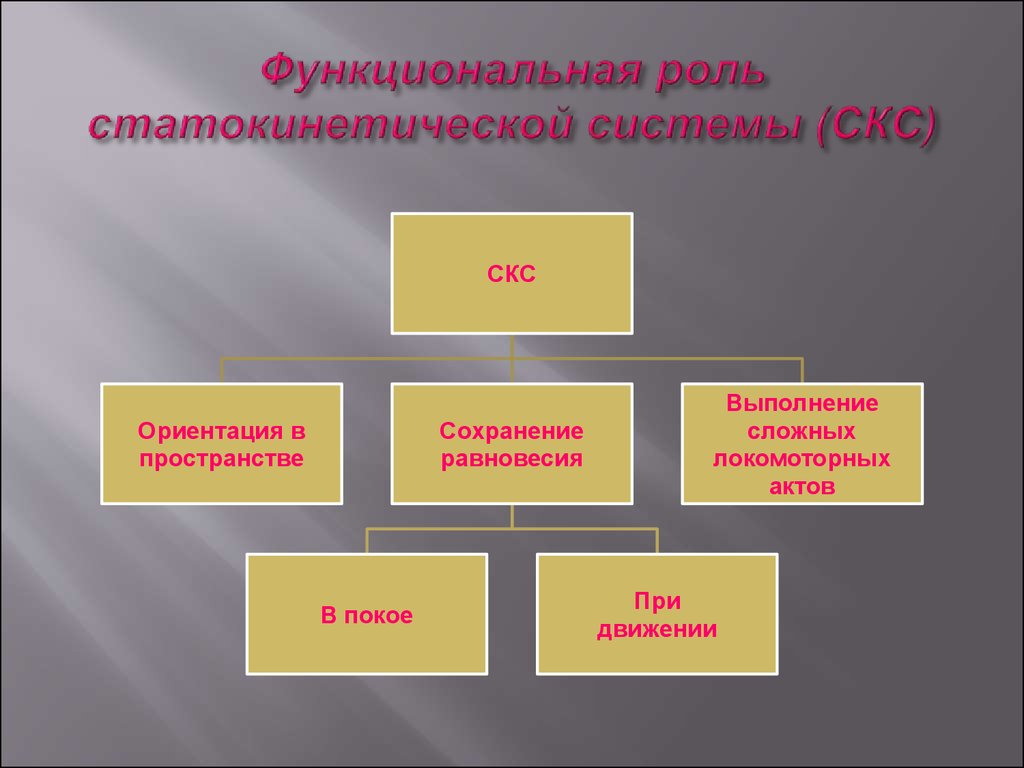 Функциональные роли в проекте