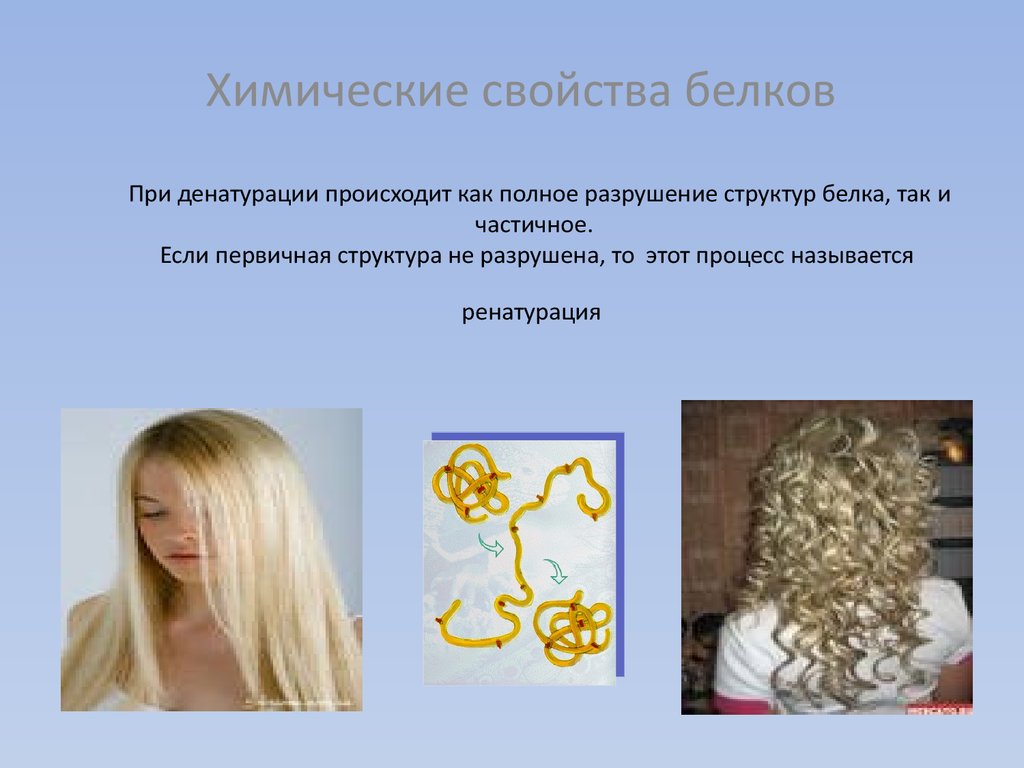 Биологическая память волос что это такое