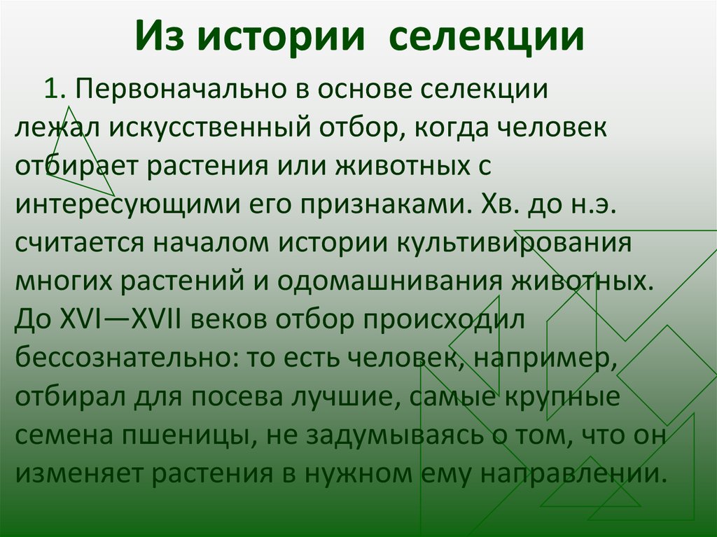 История селекции с древних времен до настоящего времени презентация