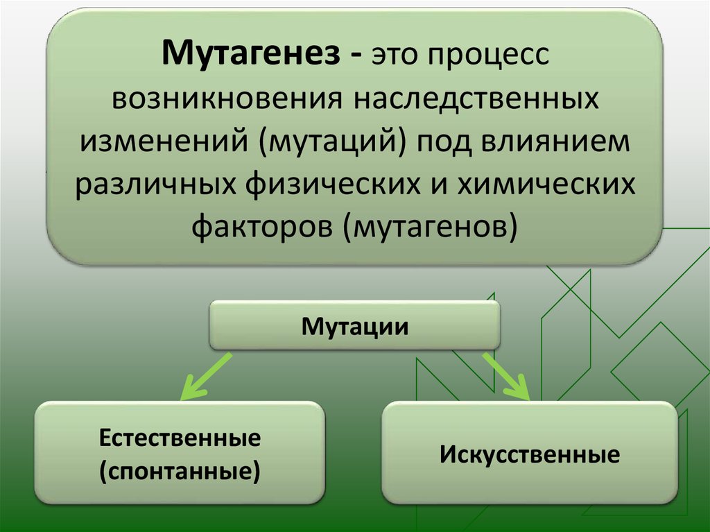 Проект по биологии мутации