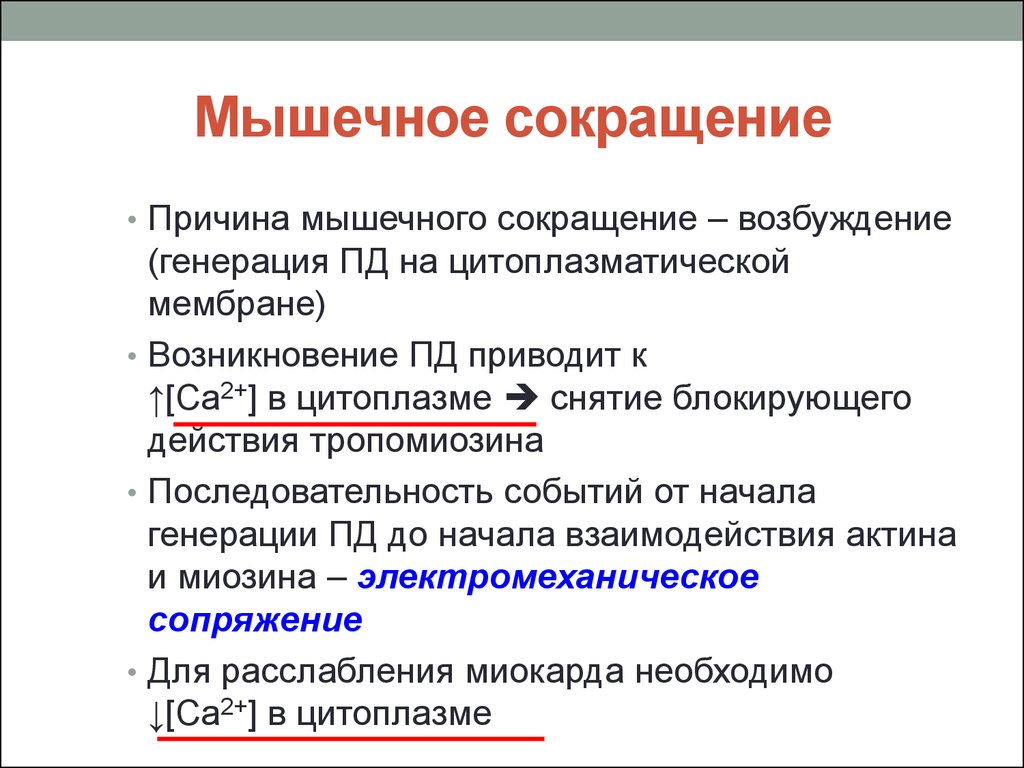 Мышечное сокращение. Мышечные сокращения причины. Последовательность мышечного сокращения. Причина сокращения мышц.