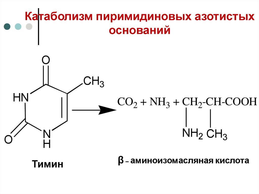 Функции мочевой кислоты