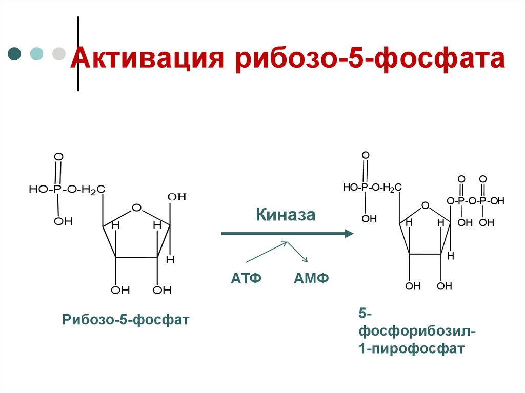 Рибозо 5 фосфат