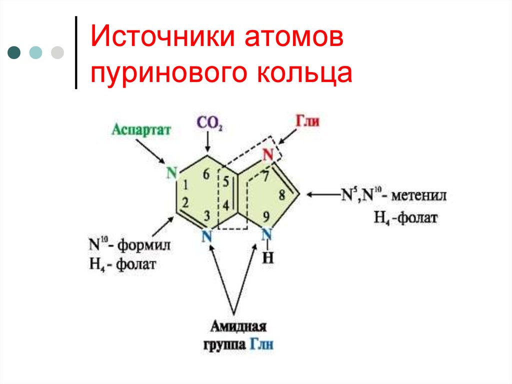 Источники нуклеотидов. Источник азота для синтеза пуринового кольца. Источники атомов пуринового кольца. Синтез пуринового кольца. Происхождение атомов пуринового ядра нуклеотидов.