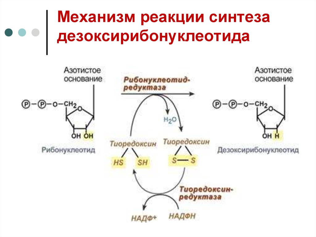 Механизм реакции описывает