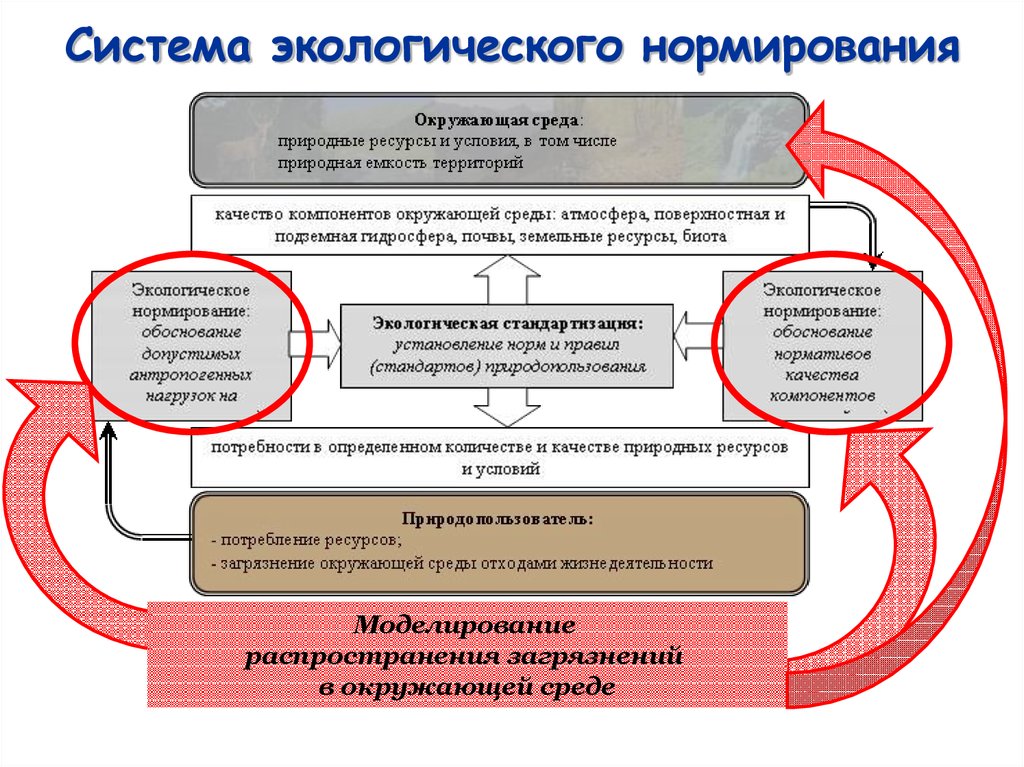 И требований в сфере