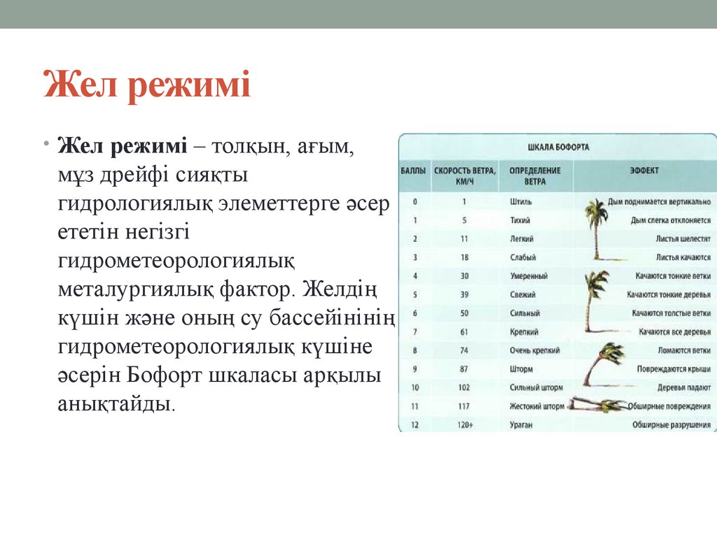 Ветви качаются. Гендер дрейфі дегеніміз не.