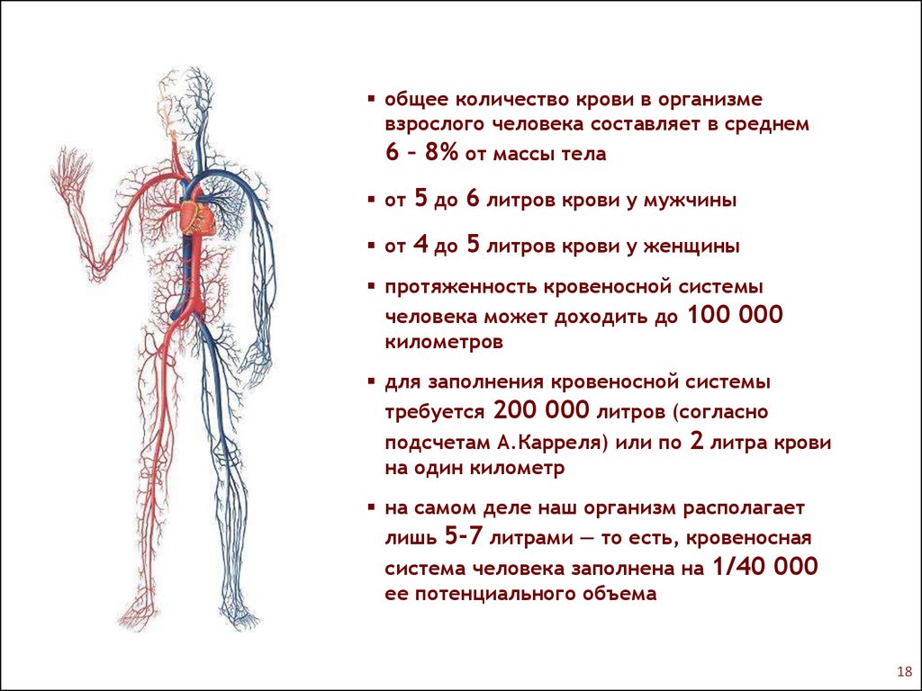 Изменения массы крови. Кол-во крови в организме взрослого человека. Распределение крови по организму. Сколькоткрови в целовек. Объем крови в организме человека.