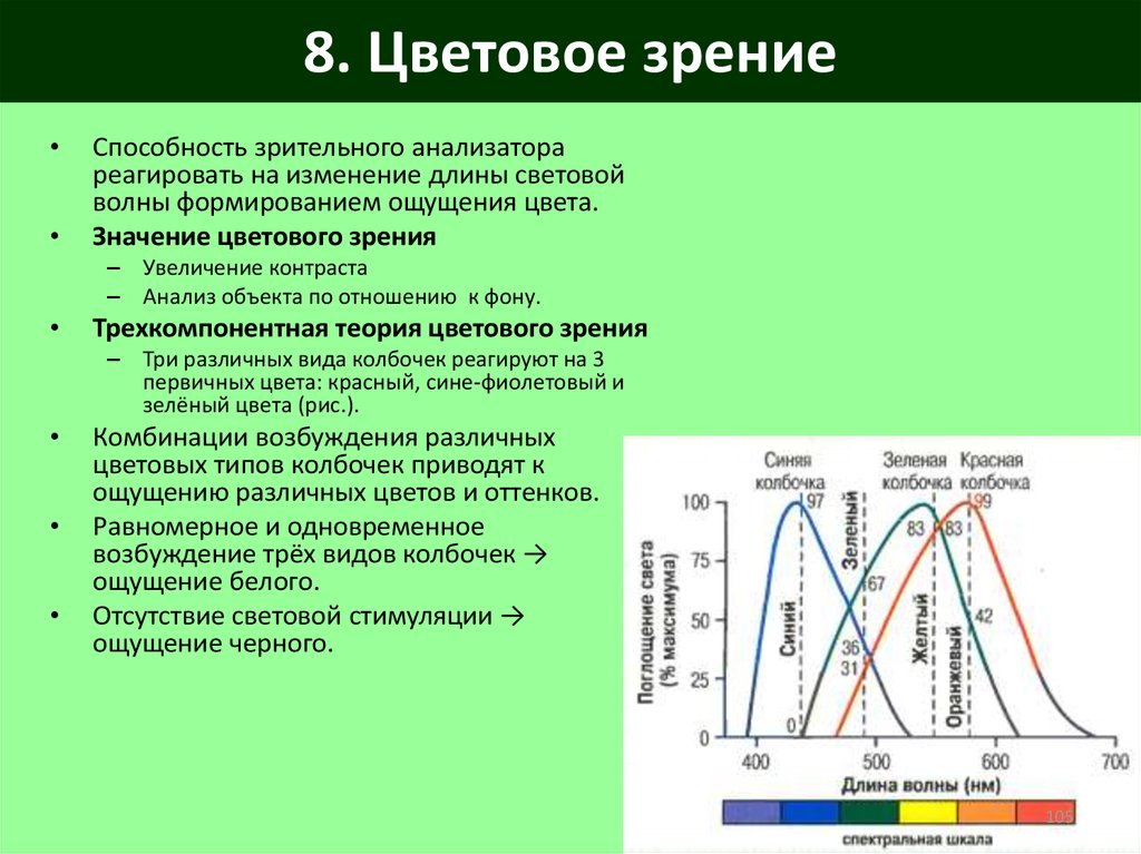 Теории зрения. Трехкомпонентная теория цветового зрения физиология. Основные формы нарушения цветового зрения физиология. Метод определения цветового зрения. Методика определения цветового зрения.